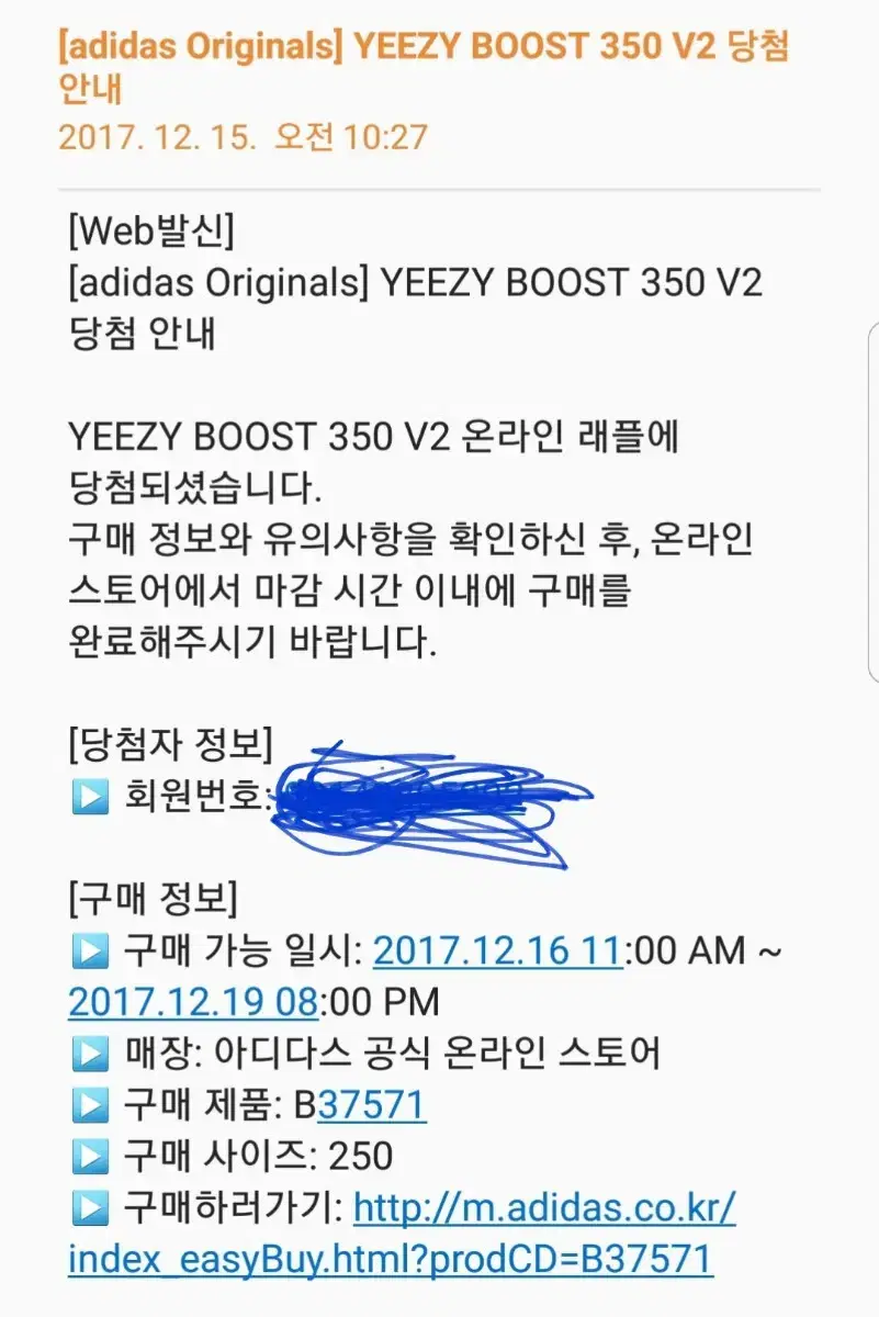 [250] 이지부스트 350 v2 블루틴트